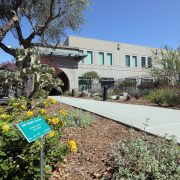 The San Diego County Water Authority's Sustainable Landscaping offers examples of plant choices for our region. Photo: SDCWA