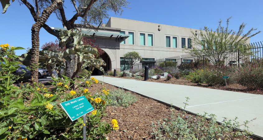 The San Diego County Water Authority's Sustainable Landscaping offers examples of plant choices for our region. Photo: SDCWA