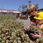 Waterwise plant choices sustainble landscaping