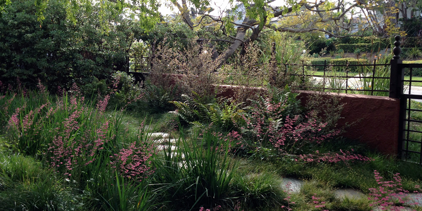 Three things are required for optimal garden soil: OWL, or oxygen, water, and life. Photo: SDCWA