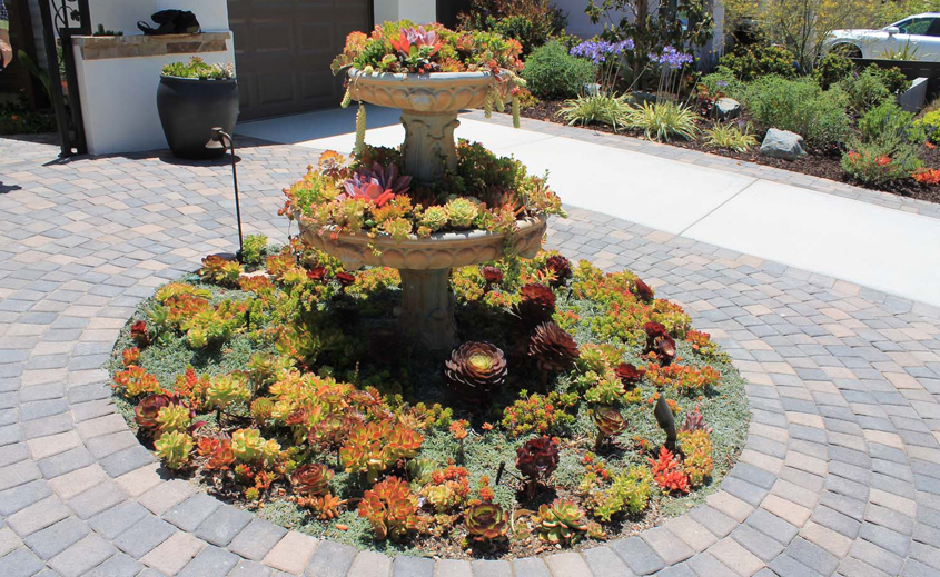 The centerpiece in the front of the home is an old water fountain that was given new life by turning it into a beautiful succulent planter. Photo: Courtesy OMWD Olivenhain MWD