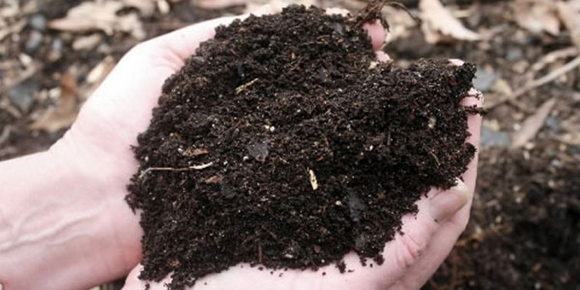 While compost and mulch may seem interchangeable, they have distinctly different uses in your sustainable landscaping. Photo: Water Authority Compost vs. Mulch
