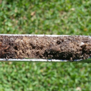 Use a soil probe to test how well irrigation dispenses into your landscape. Photo: Courtesy University of Florida/Creative Commons use soil probe