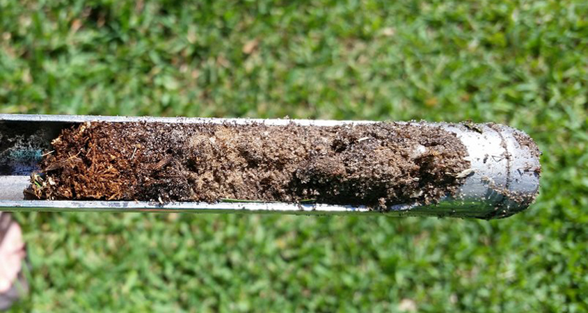 Use a soil probe to test how well irrigation dispenses into your landscape. Photo: Courtesy University of Florida/Creative Commons soil probe tips