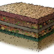 Create a healthy growing environment for your new landscaping with the "soil lasagna" method. Graphic: Water Authority