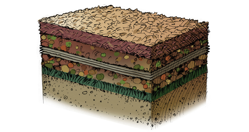 Create a healthy growing environment for your new landscaping with the "soil lasagna" method. Graphic: Water Authority