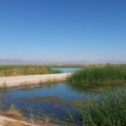 Salton Sea Management Program projects are moving ahead with new state funding. Photo: Water Authority