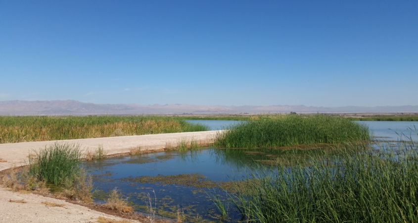 Salton Sea Management Program projects are moving ahead with new state funding. Photo: Water Authority