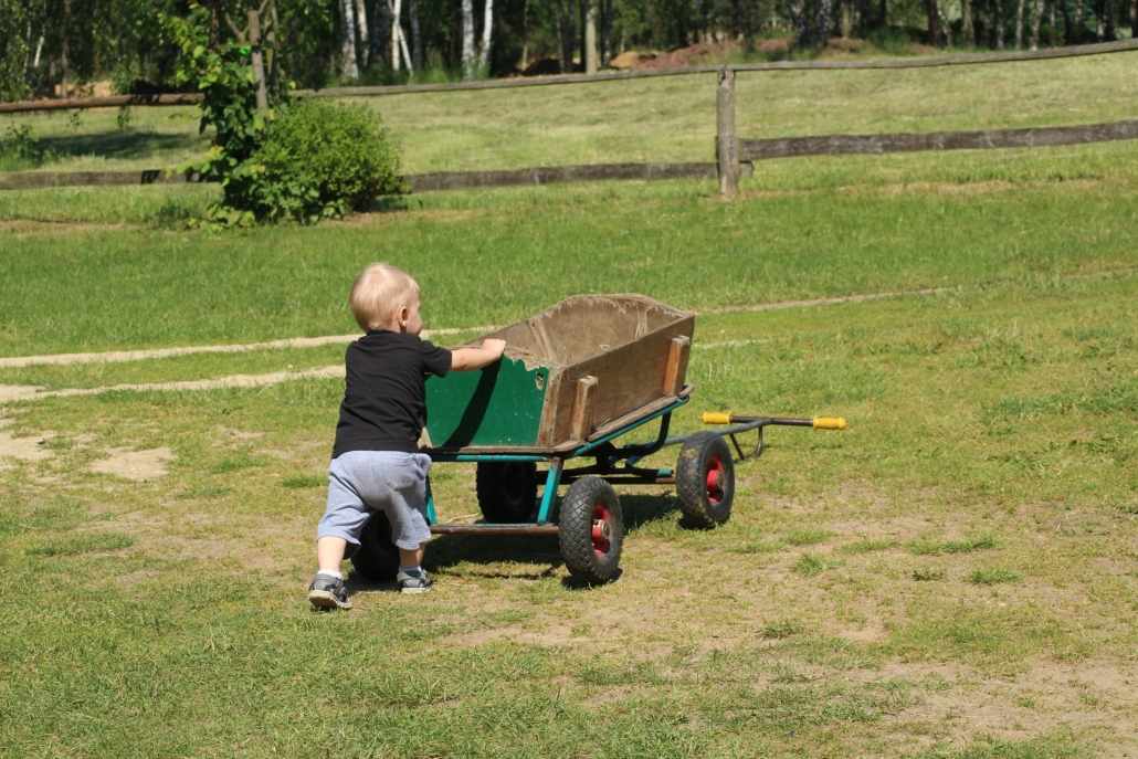 If you decide to keep your grass areas, follow these guidelines to maintain it organically. Photo: Alicja/Creative Commons Waterwise Lawns