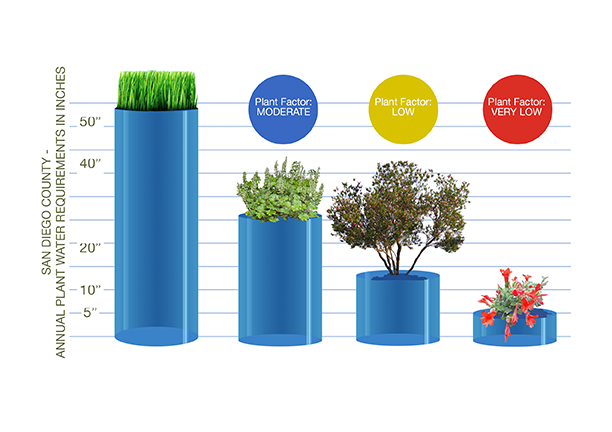 Plant Factor categories from high to low water use. Graphic: Water Authority