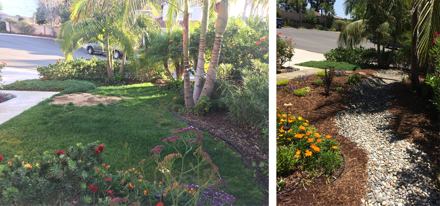 Before and after views of a landscaping project in San Diego. Photos: Water Authority. Sustainable landscaping