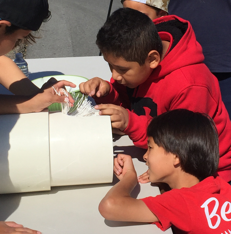 Interactive displays will interest kids of all ages at the East County Water Festival on Sept. 8. Photo: Courtesy Padre Dam MWD 