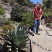 Jeff Moore rakes the zen garden included in his back yard landscape plot plan. Photo: San Diego County Water Authority
