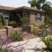Different areas of your landscaping are affected by shade, moisture, and temperature, creating a variety of microclimates. Photo: Water Authority