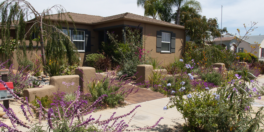 Different areas of your landscaping are affected by shade, moisture, and temperature, creating a variety of microclimates. Photo: Water Authority
