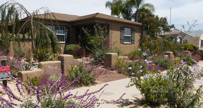 Different areas of your landscaping are affected by shade, moisture, and temperature, creating a variety of microclimates. Photo: Water Authority