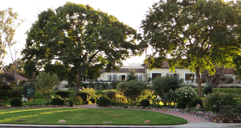 Areas of your landscaping under large shade trees become individual microclimates. Photo: Ken Lund/Creative Commons License