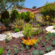 Homeowners learn through the Water Authority's Landscape Transformation program that sustainable landscaping can be as lush as a lawn. Photo Water Authority turf