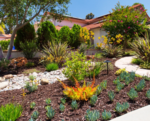 Homeowners learn through the Water Authority's Landscape Transformation program that sustainable landscaping can be as lush as a lawn. Photo Water Authority turf