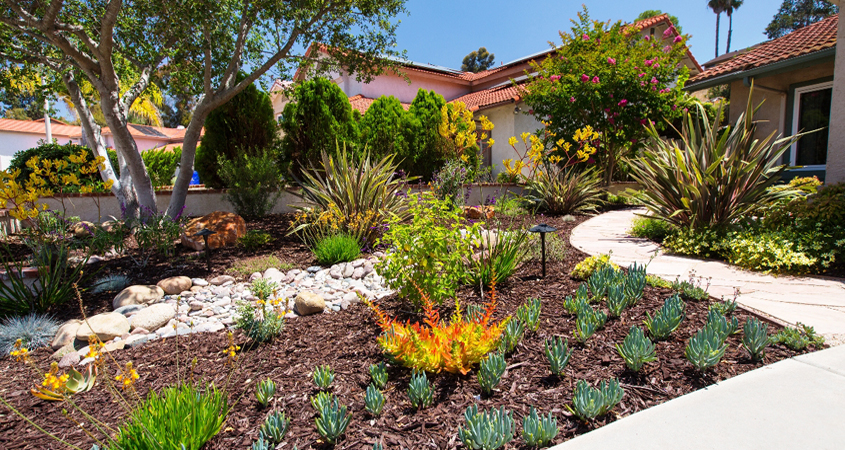 Homeowners learn through the Water Authority's Landscape Transformation program that sustainable landscaping can be as lush as a lawn. Photo Water Authority turf