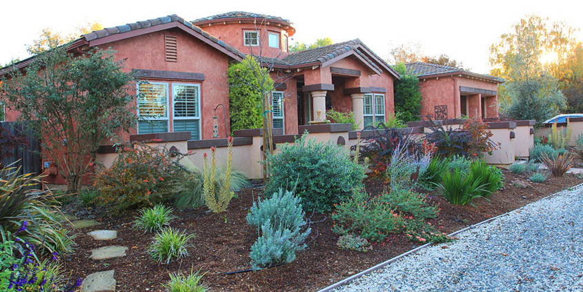 Grouping plants together by water needs by matching microcliimates creates efficient irrigation. Photo: Water Authority
