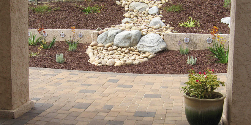 Give new landscaping plants plenty of room to grow and thrive. Photo: Water Authority