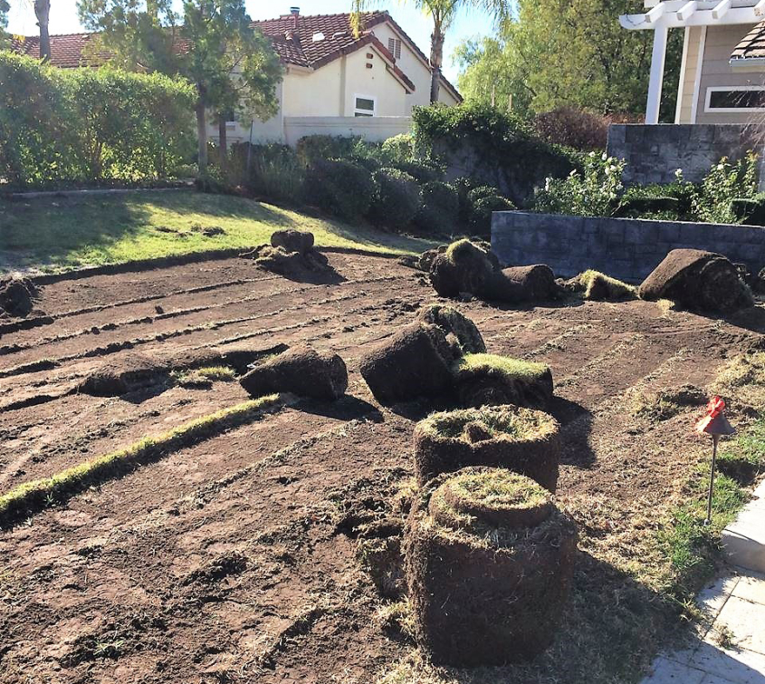 Remove your old turf in a way that preserves valuable soil microbes. Photo: Water Authority