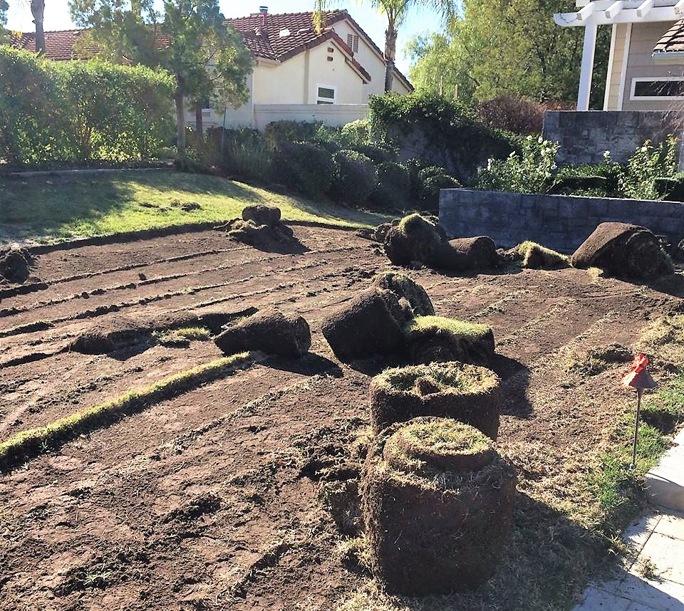 The Water Authority's Landscape Transformation Program teaches homeowners the proper methods for removing turf. Photo: Water Authority