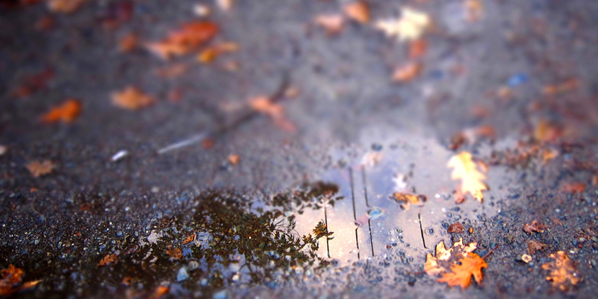 The first rain after a dry period is called the "first flush." It can wash pollutants off hard surfaces. A better alternative is to filter the first flush through your landscaping. Photo: Skyloader.Creative Commons