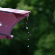 To properly capture water flow from rainfall, you need to assess where it naturally flows first. Photo: Tae Wook, Creative Commons License