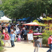 The 2017 Spring Garden and Butterfly Festival at The Water Conservation Garden. Photo: Water Conservation Garden