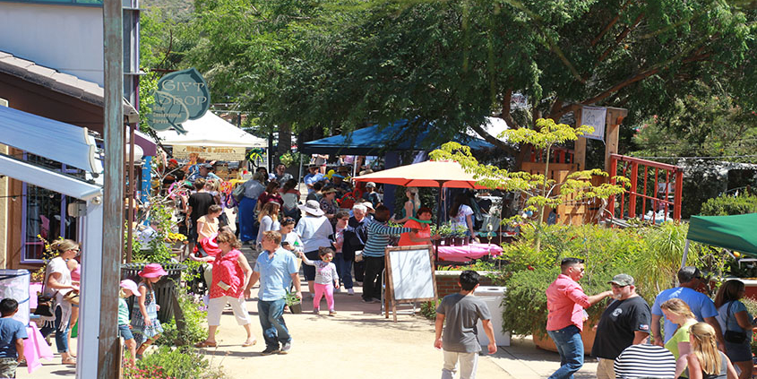 The 2017 Spring Garden and Butterfly Festival at The Water Conservation Garden. Photo: Water Conservation Garden