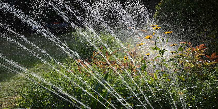 Hydrozones-Conservation Corner-landscaping