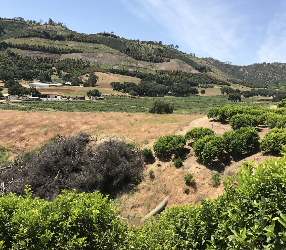 The Yuima Municipal Water District worked with farmers to find realistic, reliable, cost-effective strategies for his customers to keep their farms flourishing without 100 percent reliance on groundwater. Photo: Yuima Municipal Water District