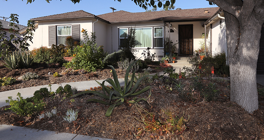 San Diego Grass Rebate