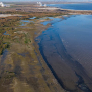 Salton Sea Restoration Program is moving forward with a restoration project to benefit migratory birds.