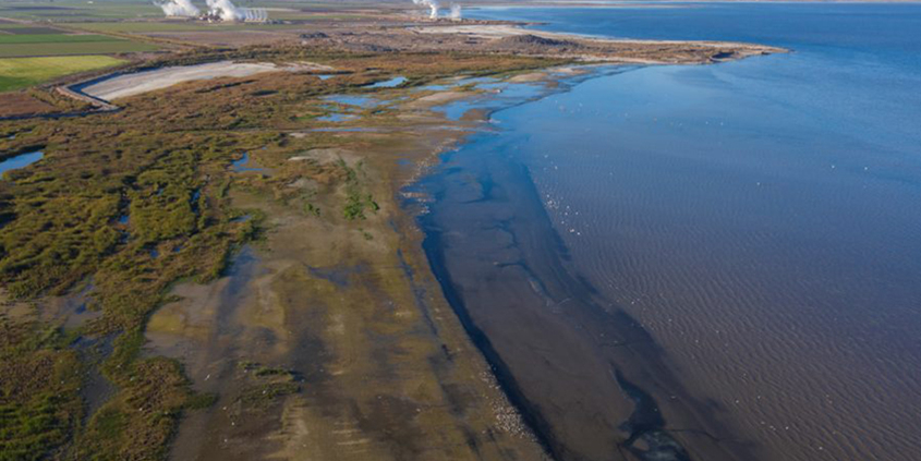 Salton Sea Restoration Program is moving forward with a restoration project to benefit migratory birds.