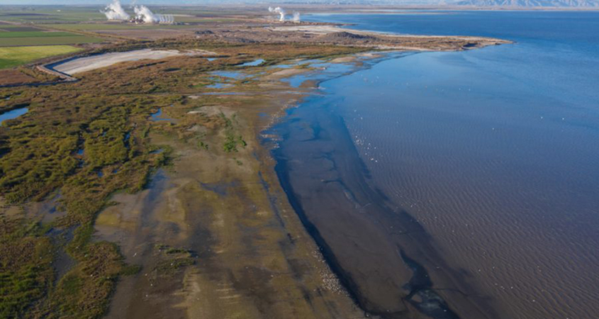 Salton Sea Restoration Program is moving forward with a restoration project to benefit migratory birds.