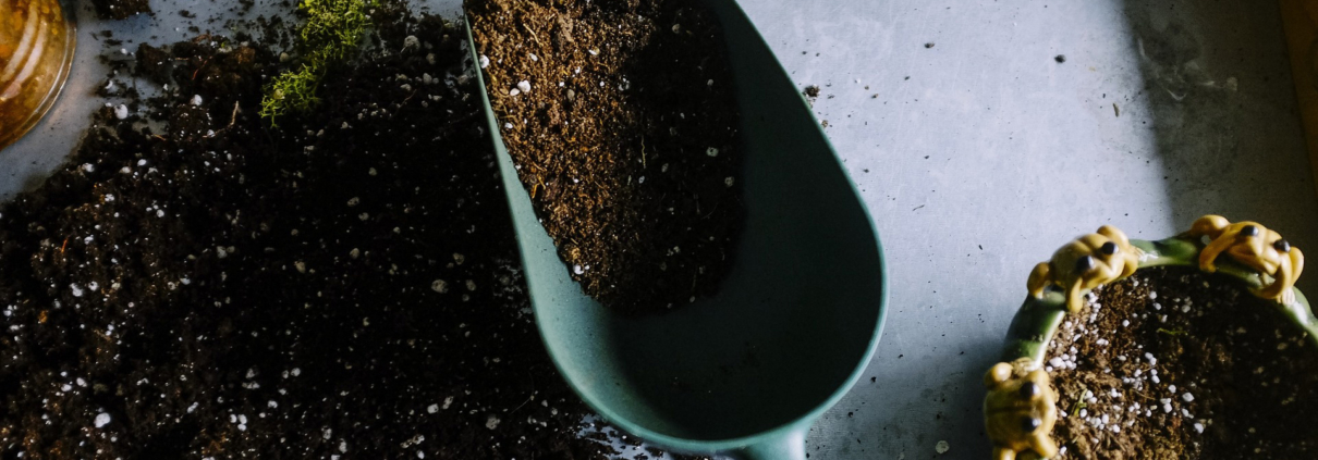 Making plans and preparing a checklist before you start digging can help you stay on track and achieve your landscaping goals. Photo: Pixabay