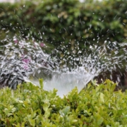 Well designed and operated irrigation systems can reliably deliver the water your landscaping needs without waste or excess. Photo: AxxLC/Pixabay