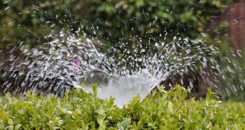 Well designed and operated irrigation systems can reliably deliver the water your landscaping needs without waste or excess. Photo: AxxLC/Pixabay