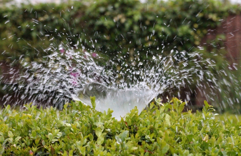 Well designed and operated irrigation systems can reliably deliver the water your landscaping needs without waste or excess. Photo: AxxLC/Pixabay