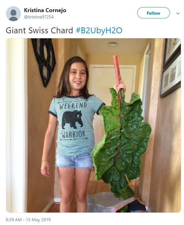 A giant Swiss chard was one of the most liked in the San Diego Grown Photo Contest in May 2019.
