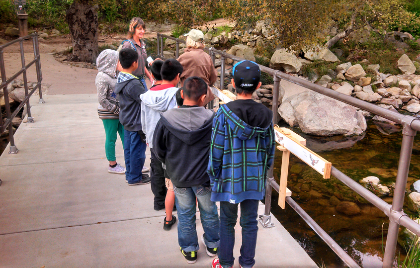 Elfin Forest Recreational Reserve Park Rangers, Conservancy staff, and volunteers conduct guided group tours and student exploration programs to help promote environmental awareness and preservation of local watersheds. Photo: Olivenhain Municipal Water District