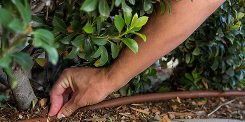 Top 10 Tips for Saving Water This Summer improve your irrigation