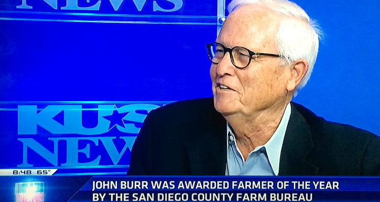 Limited rainfall means avocado grower John Burr must use innovative farming methods. Photo: Water Authority