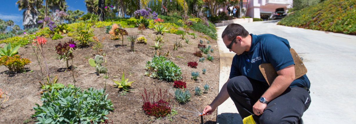 Efficient irrigation-landscaping-Conservation Corner aspects of sustainable landscaping can help you ensure the success of your project. Photo: Water Authority landscape professional