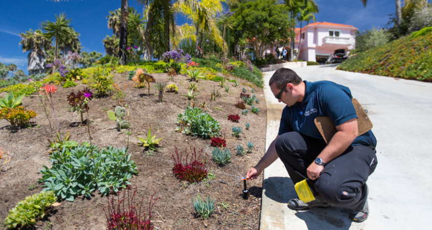 Efficient irrigation-landscaping-Conservation Corner aspects of sustainable landscaping can help you ensure the success of your project. Photo: Water Authority landscape professional