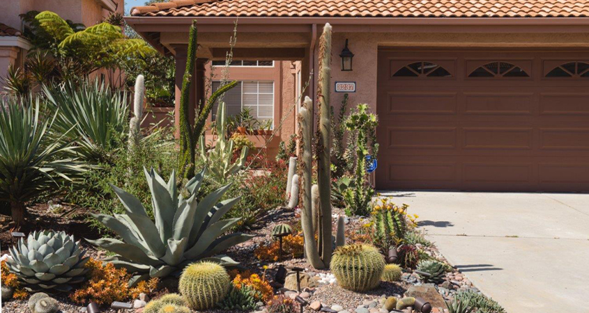 Homeowner Gerald Wharton was inspired to bring back livable habitat for native flora and fauna when creating his drought tolerant garden. Photo: City of Oceanside drought tolerant gardens