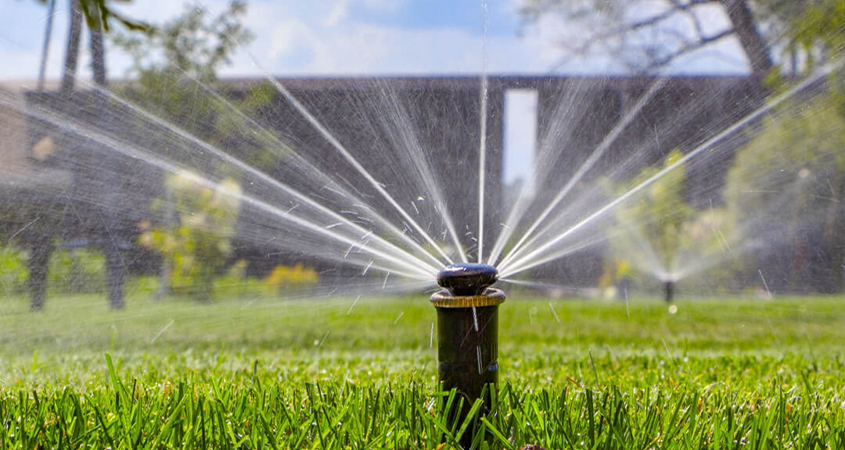 Inspect your sprinkler heads regularly to make sure they are not obstructed or watering onto pavement or other hardscapes. Photo: Irrigation Association